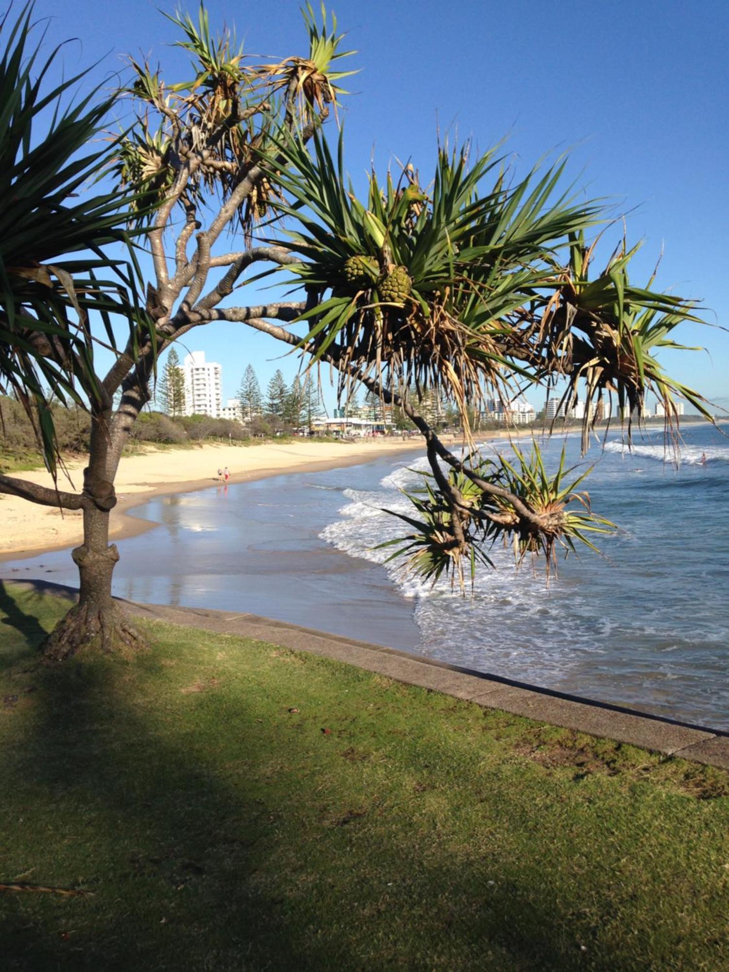 Grand Palais Boolarong Beachside Apartments Alexandra Headland Exteriér fotografie